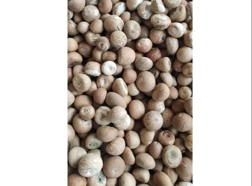 Raw Natural Dried Areca Nuts, Packaging Type : Bag