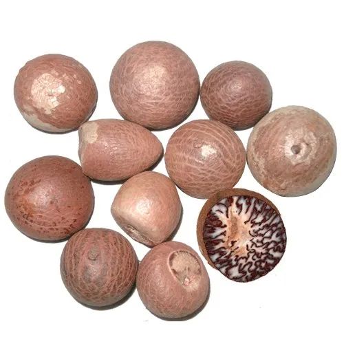 Organic Areca Nuts, Style : Dried