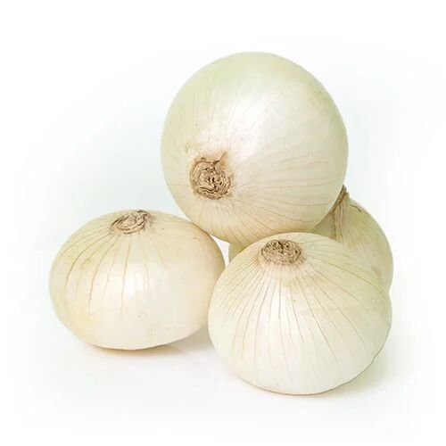 Fresh White Onion, Quality Available : A Grade