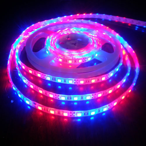 White Electric 500-1000gm LED Decorative Lights, Voltage : 220V