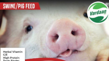 Pig Feed, Certification : ISO 9001-2008