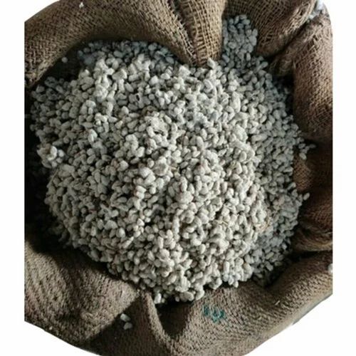 Yellow Natural 10gm Cotton Seeds, For Animal Feed, Packaging Type : PP Bags