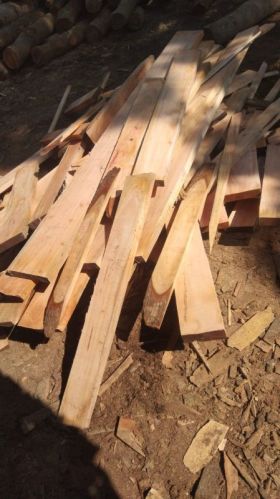 Rough Natural Mango Wood for Furniture