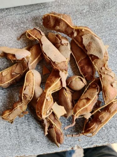 Fresh Tamarind, Style : Natural