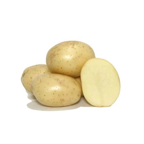 Natural Atlantic Potato, Packaging Size : 20 Kg, 50 Kg, Packaging Type : Leno Bags