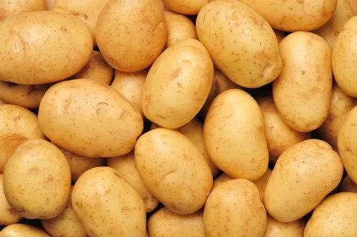 Natural Fresh FC1 Potato, Packaging Type : Leno Bags, Packaging Size : 20 Kg, 50 Kg For Cooking, Making Chips