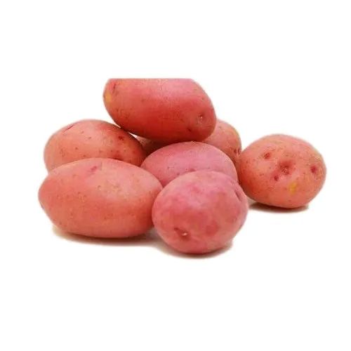 Lady Rosetta Potato, Color : Red, Packaging Size : 50 Kg, Packaging Type : Leno Bags