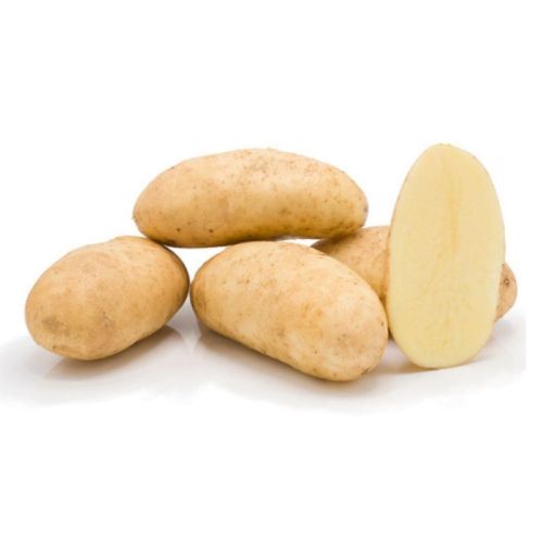 Natural Santana Potato, Packaging Type : Leno Bags, Packaging Size : 50 Kg