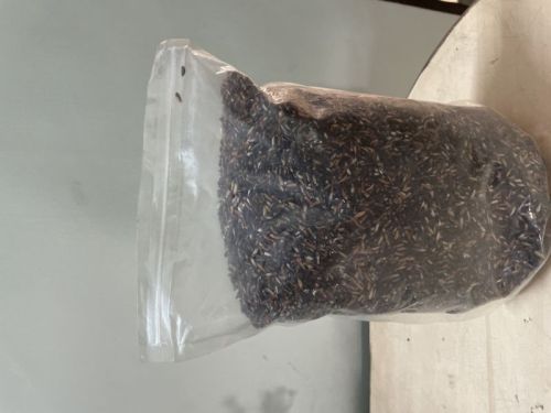 Solid Black Rice, For Cooking, Certification : FSSAI Certified