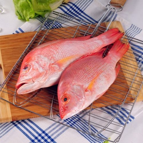 Fresh Local Baby Red Snapper Fish