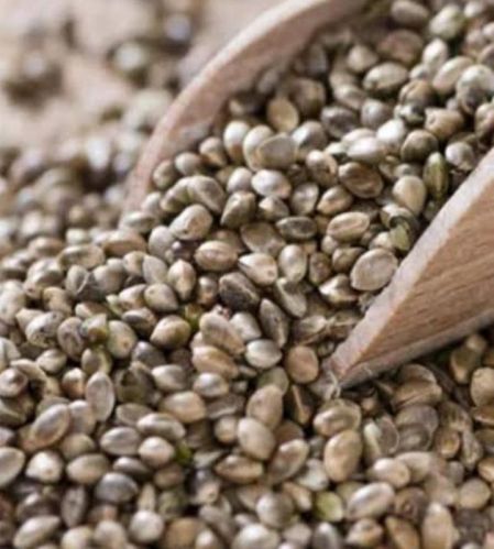 Natural Raw Hemp Seeds, Color : Brown, Packaging Type : Bag