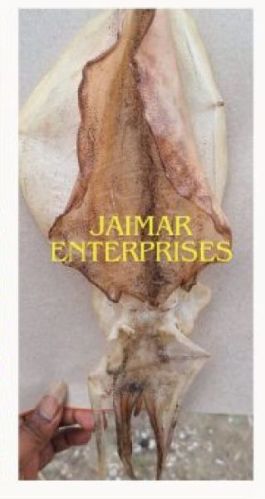 JAIMAR Dry Fish for Human Consumption