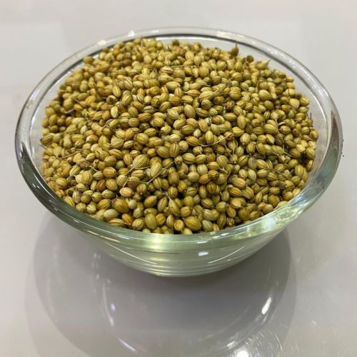 Raw Natural Coriander Seeds, For Cooking, Certification : FSSAI Certified