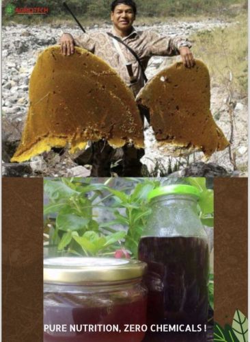 Organic Honey for Medicines