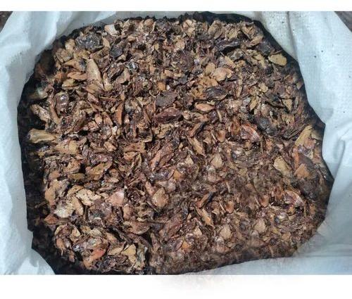 Brown Solid Raw Natural Cashew Nut Shell Cake, For Fuel Purpose, Packaging Type : Plastic Packet