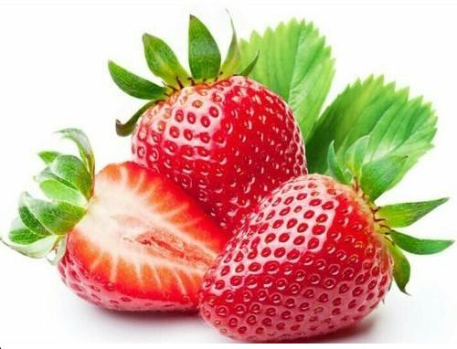 Common Fresh Strawberry, Freezing Process : Cold Storage