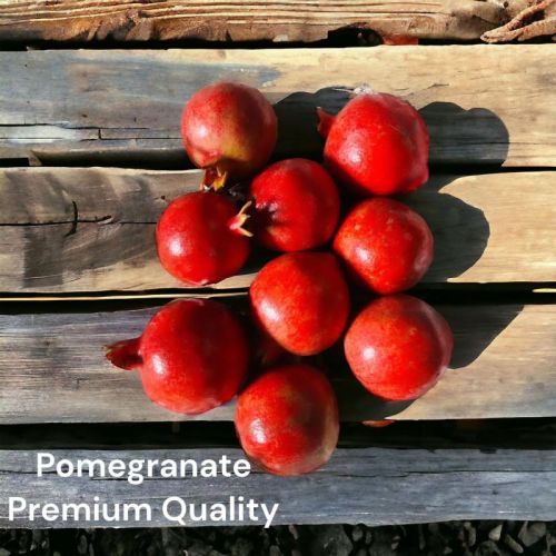 Organic Fresh Pomegranate For Human Consumption