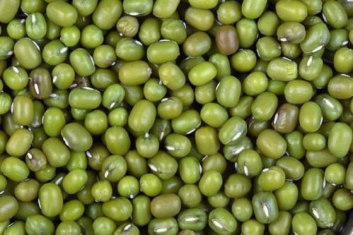 Natural Green Sabut Moong Dal, For Cooking, Grade Standard : Food Grade