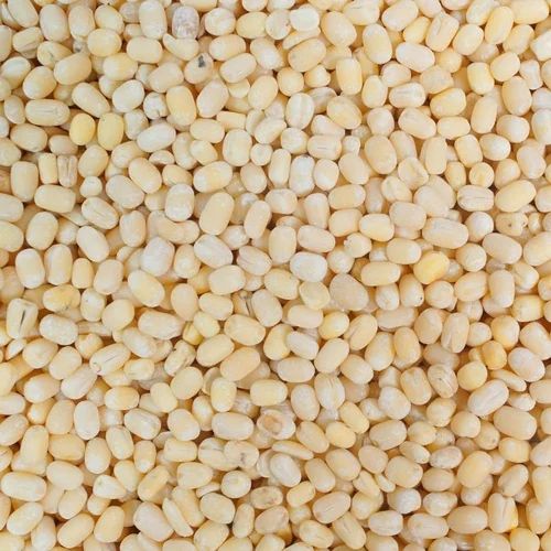 White Urad Dal, Speciality : High In Protein