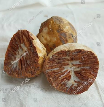 Brown Common Betel Nut Raw Supari