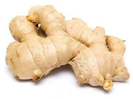 Brown Fresh Ginger, Packaging Type : Net Mesh Bag