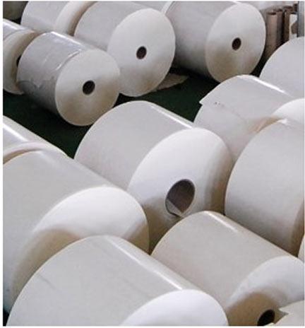 White 20 Inch Silicone Release Paper Roll, For Packaging Use, Hardness : Hard