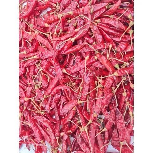 Natural S10 Dry Red Chilli, For Spices, Cooking, Certification : FSSAI Certified