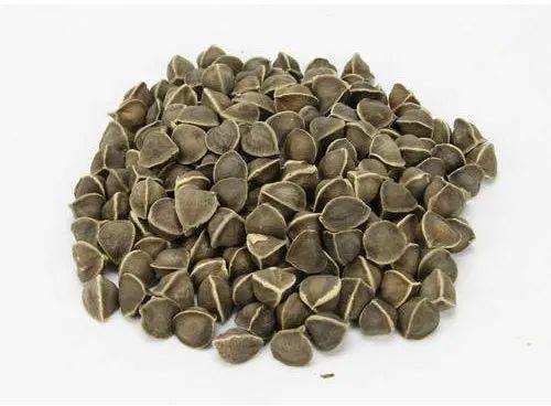 Raw Natural Moringa Seeds, Grade Standard : Food Grade