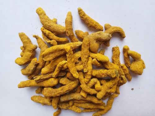 Yellow Curcuma Longa Turmeric Finger, For Cooking, Shelf Life : 6 Month