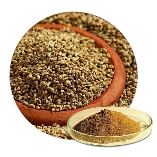 Brown Ajwain Powder, For Cooking, Shelf Life : 6 Month