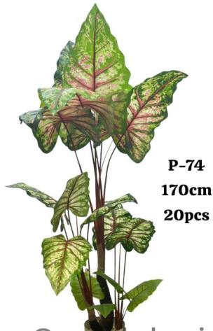 Plastic Caladium Artificial Plant, Packaging Type : Carton Box