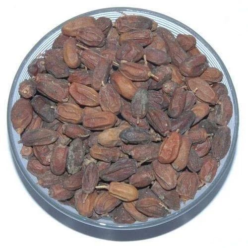 Brown Organic Neem Seeds, For Medicine, Packaging Type : Plastic Bags