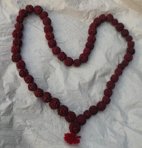 Brown Panchmukhi Nepali Rudraksha Mala, For Worship, Gender : Unisex