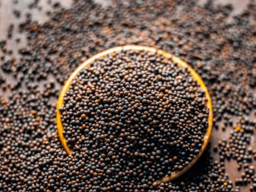 Natural Black Mustard Seeds, Shelf Life : 6 Month