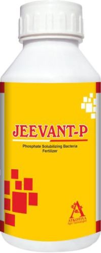 Jeevant-P Phosphate Solubilizing Bacteria Fertilizer, For Agriculture