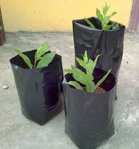 Black Plain Plastic Nursery Grow Bags, For Growing Plants, Shape : Round