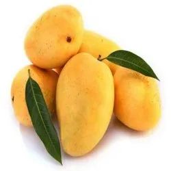 Organic Fresh Badami Mango, Color : Yellow, Packaging Type : Plastic Bag