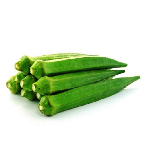 Green Fresh Lady Finger, For Human Consumption, Cooking, Packaging Type : Plastic Crates