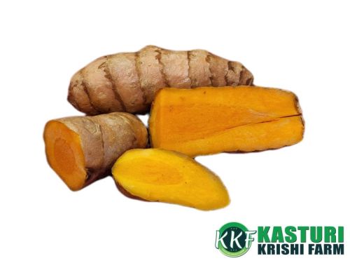 KKF Natural Organic Wet Turmeric For Spices, Cooking, Spices