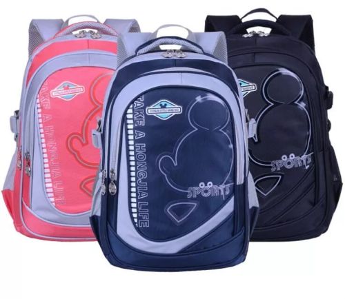 Printed Nylon School Bags, Size : Standard