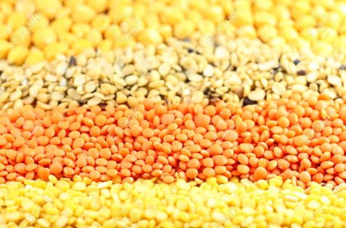  Common Indian Dal, Packaging Size : 30 Kg