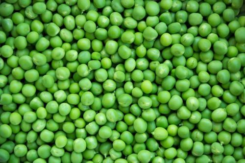 Spherical Whole Green Peas, For Human Consumption, Packaging Type : Jute Bag