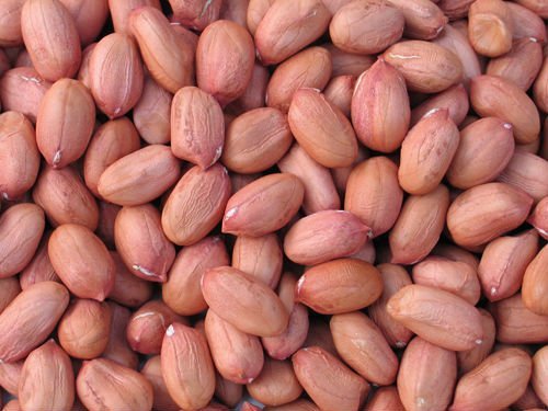 Brownish Organic Fresh Groundnut Kernels, For Cooking Use, Making Oil, Packaging Type : Plastic Packet