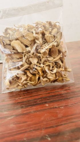 Dry Oyster Mushroom, Packaging Type : Polythene Bag