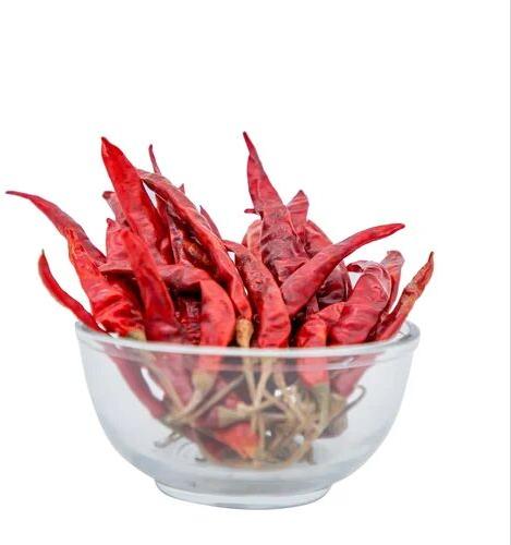 Natural Teja Dry Red Chilli, For Spices, Cooking, Certification : FSSAI Certified