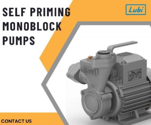 Semi Automatic Electric Monoblock Pumps for Water Supply