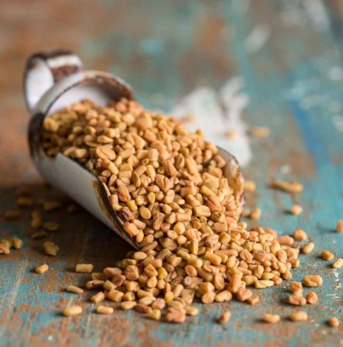Fenugreek Seed Extract, Shelf Life : 2 Years