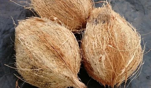 Husked Coconut, Packaging Type : Jute Bags