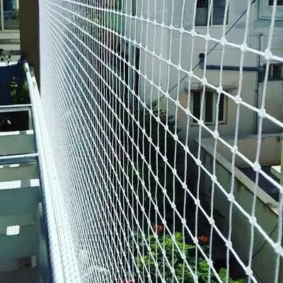 4x4 Feet Rebon Anti Bird Net