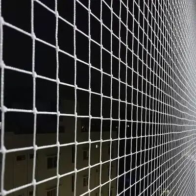 6x10 Feet Rebon Anti Bird Net